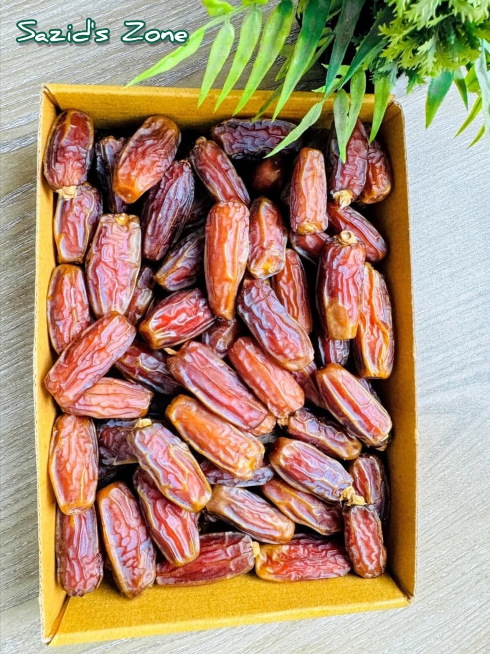 WhatsApp Image 2025-12-31 at 2.47