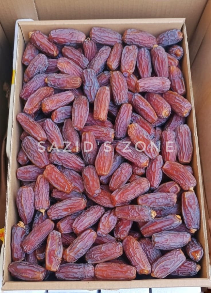 WhatsApp Image 2025-12-31 at 4.05.09 AM